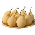 Top Quality Export price Sweet Fresh Chinese Golden Pear Snow Pear